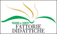 Fattorie didattiche regione veneto